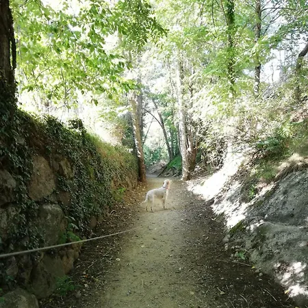 Domaine De La Valee D'ax Lägenhet
