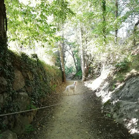Résidence Domaine De La Valee D'ax Appartement