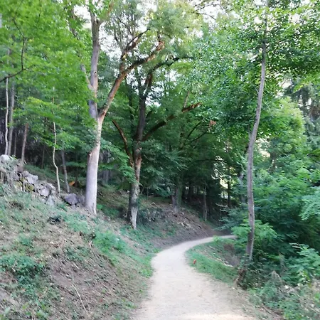 Résidence Domaine De La Valee D'ax Appartement Ax-les-Thermes